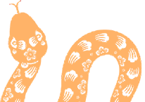 20250126171547_9259 20250126171547_9259
